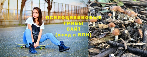 дистиллят марихуана Новозыбков
